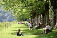 Giardini del museo